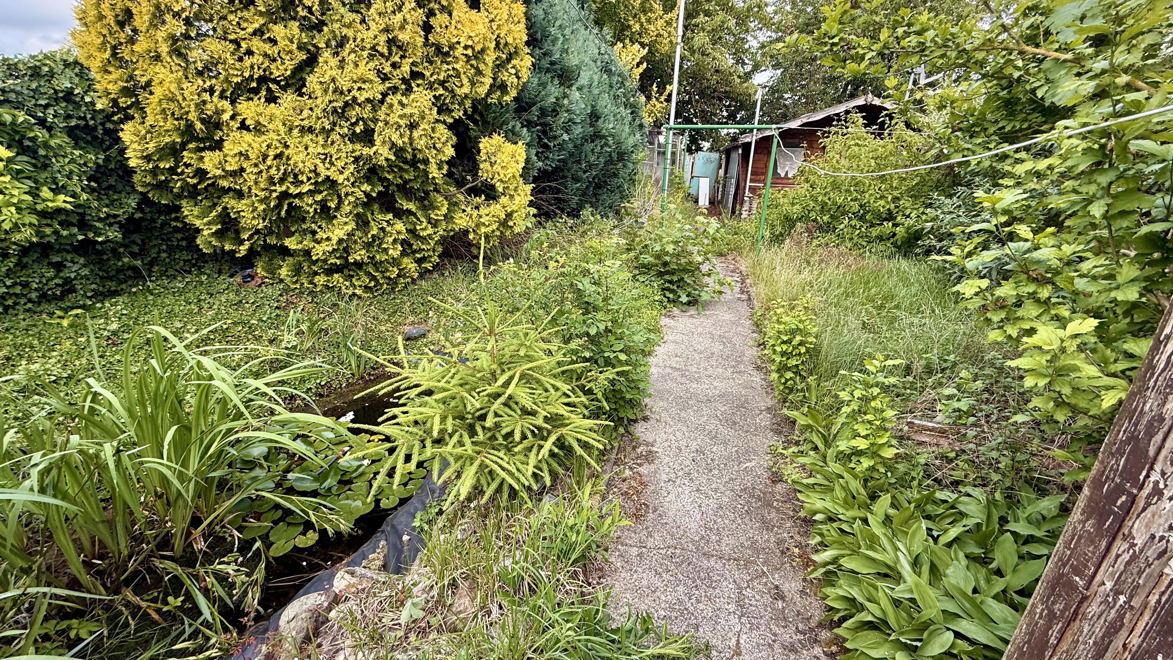 Preiswertes EFH ideal für den Handwerker - Bild# 3